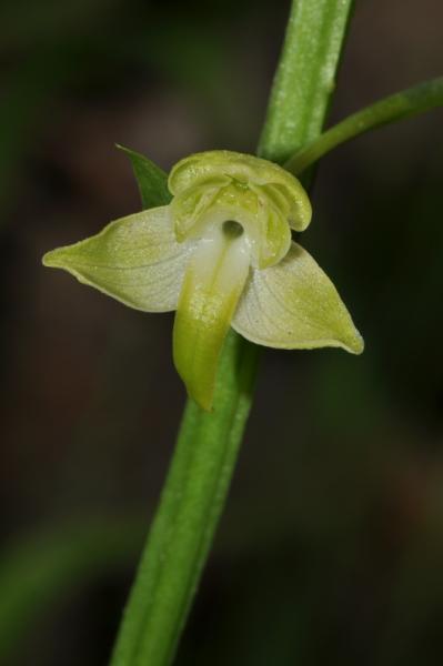 20-06-2010 05.jpg